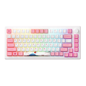 AKKO MOD 007B-HE PC Tokyo R2 Rapid Trigger Keyboard Magnetic Switches RGB Backlit Wireless Mechanical Keyboards