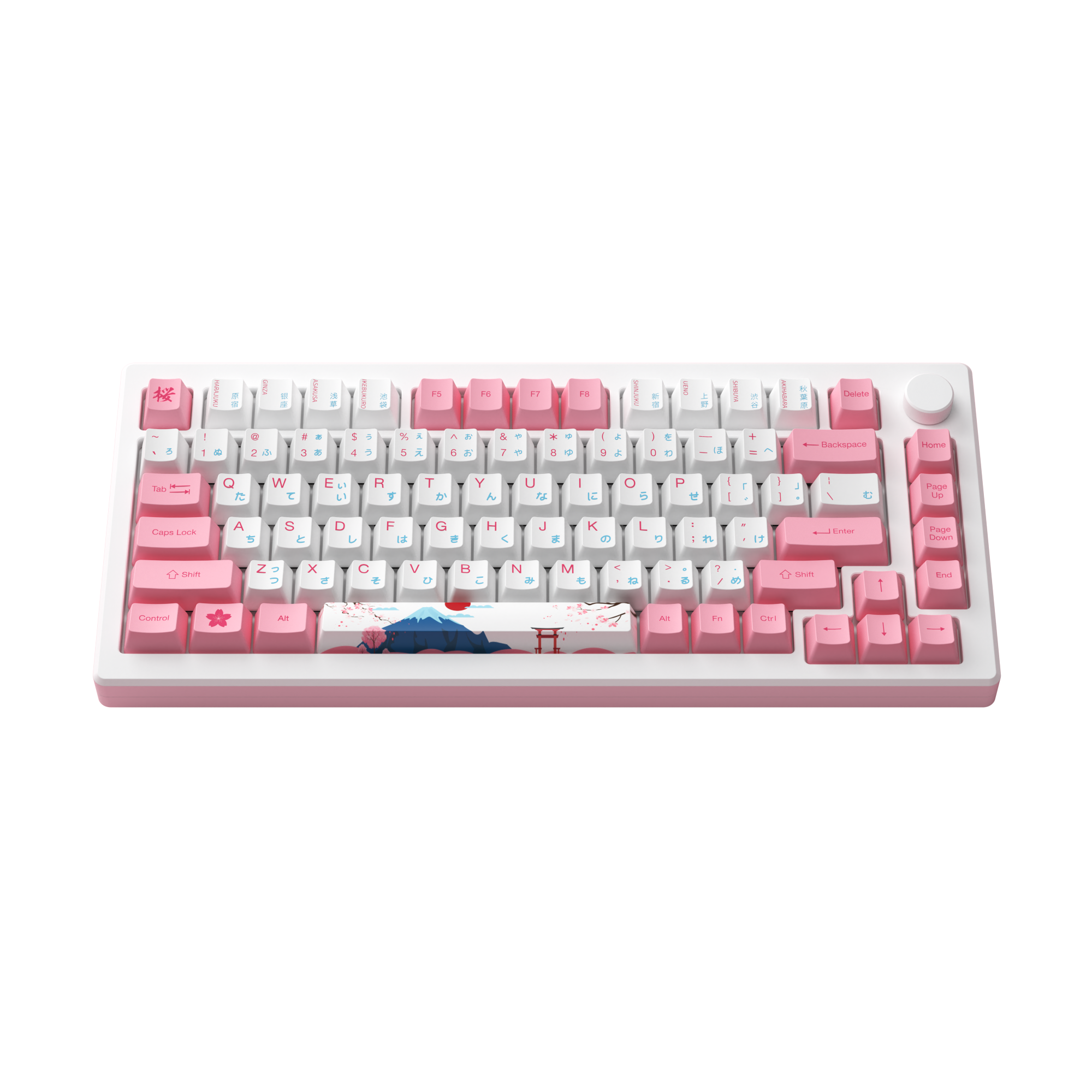 AKKO MOD 007B-HE PC Tokyo R2 Rapid Trigger Keyboard Magnetic Switches RGB Backlit Wireless Mechanical Keyboards