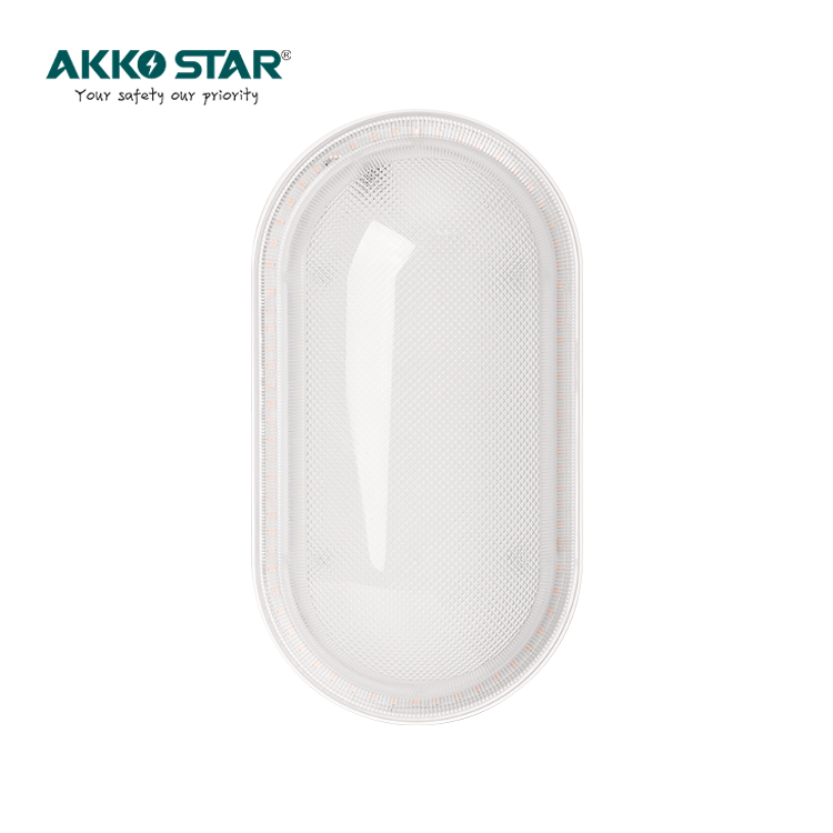 AKKO STAR Three speed Waterproof 20W 80Lm/w Two-color White+Blue light LED Moisture-proof lamps