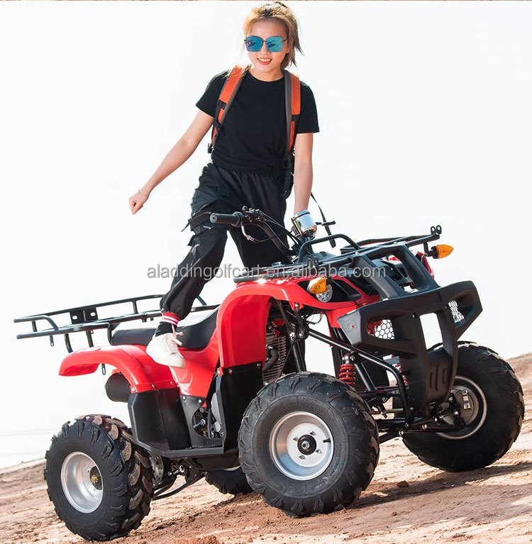 Cheap Rino 50 2 Stroke 49CC Mini Farm Utility ATV Quad Bike 4 Wheeler For Kids