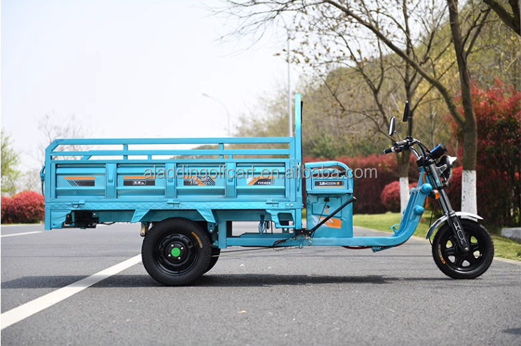 2019 New High Quality Adult Battery Car Auto Rickshaw Of Bajaj Tricycle For Sale In Philippines