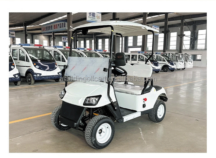 Golf Buggy Electric Cart 48 72V 4KW 5KW 7.5KW Lithium Battery Electric Off-road Grade A Electric Stainless Steel Golf Push Cart