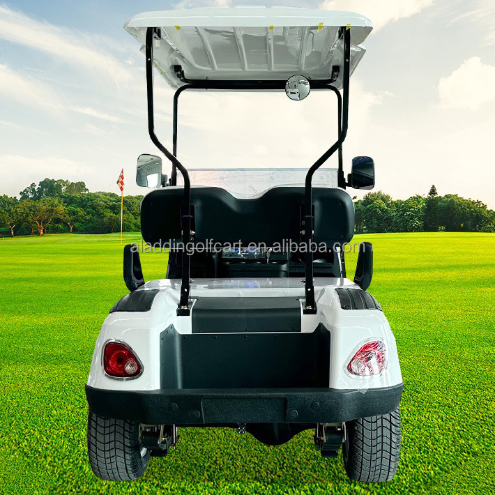 Golf Buggy Electric Cart 48 72V 4KW 5KW 7.5KW Lithium Battery Electric Off-road Grade A Electric Stainless Steel Golf Push Cart