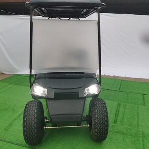 2 4 6 8 10 Seater Electric Golf Carts Walking Gasoline Golf Cart For Sale In Michigan Golf Cart Enclosures