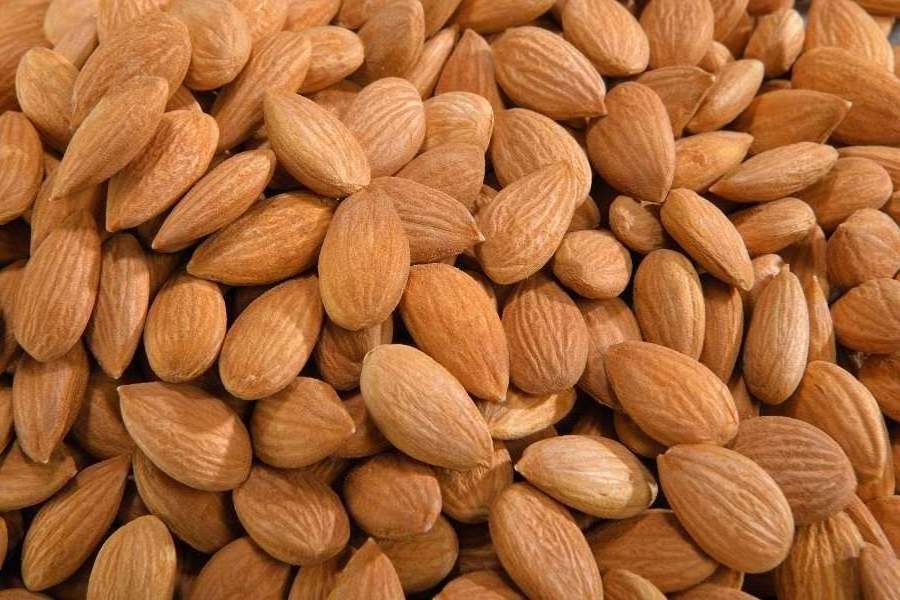 Wholesale price Raw Almonds Available, delicious and healthy Raw Almonds Nuts