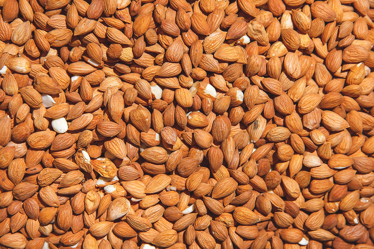 Wholesale price Raw Almonds Available, delicious and healthy Raw Almonds Nuts