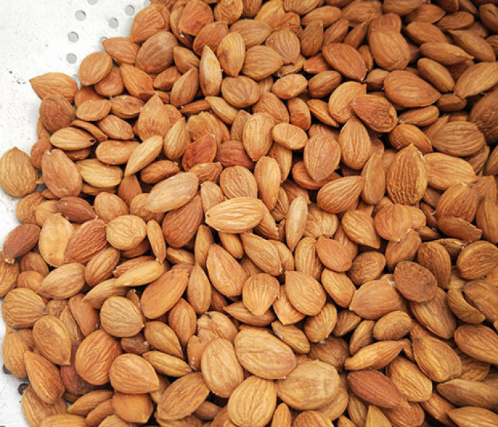 Wholesale price Raw Almonds Available, delicious and healthy Raw Almonds Nuts