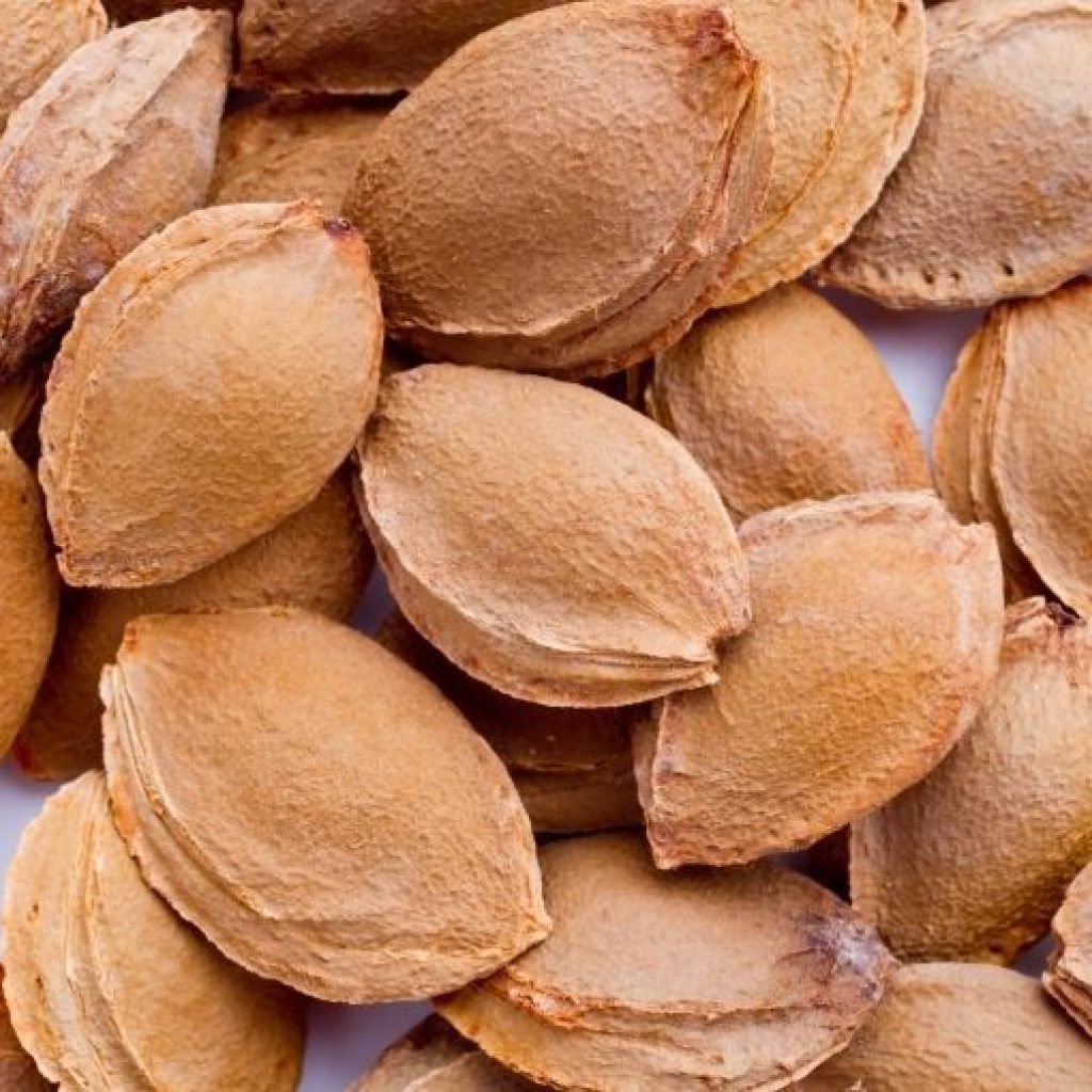 Wholesale price Raw Almonds Available, delicious and healthy Raw Almonds Nuts