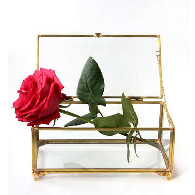 Good Design Rectangular Shape Jewelry Box Brass And Glass Ring Box Gold Finished Decorative Glass Box Home & Office Decorate