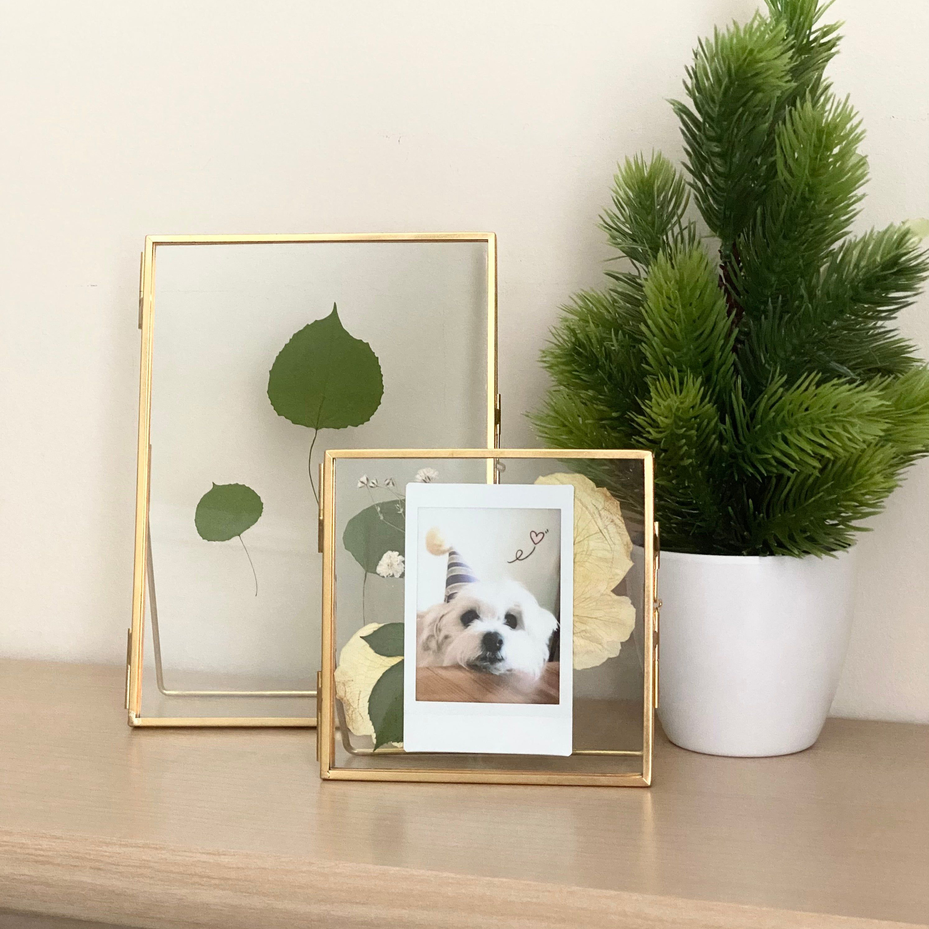 Indoor Decor Wall Hanging Single Sides Brass And Glass Picture Photo Frame Metal Border Square Shape In Gold Finish Home Decor