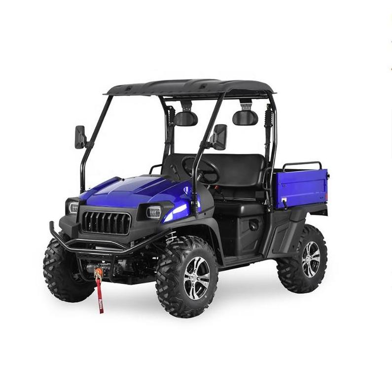 China Custom 4wd electric utv for sale