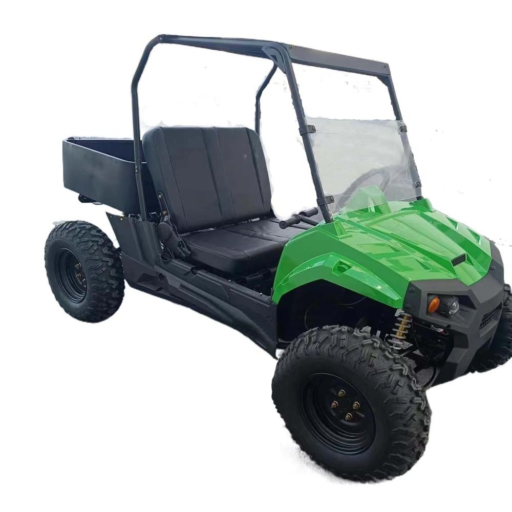 HIPOWERVIP New Design All Terrain Dune Buggy Mountain Adult Electric UTV 20KW Motor