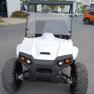 China Supplier farm utility vehicle electric side by side for sale