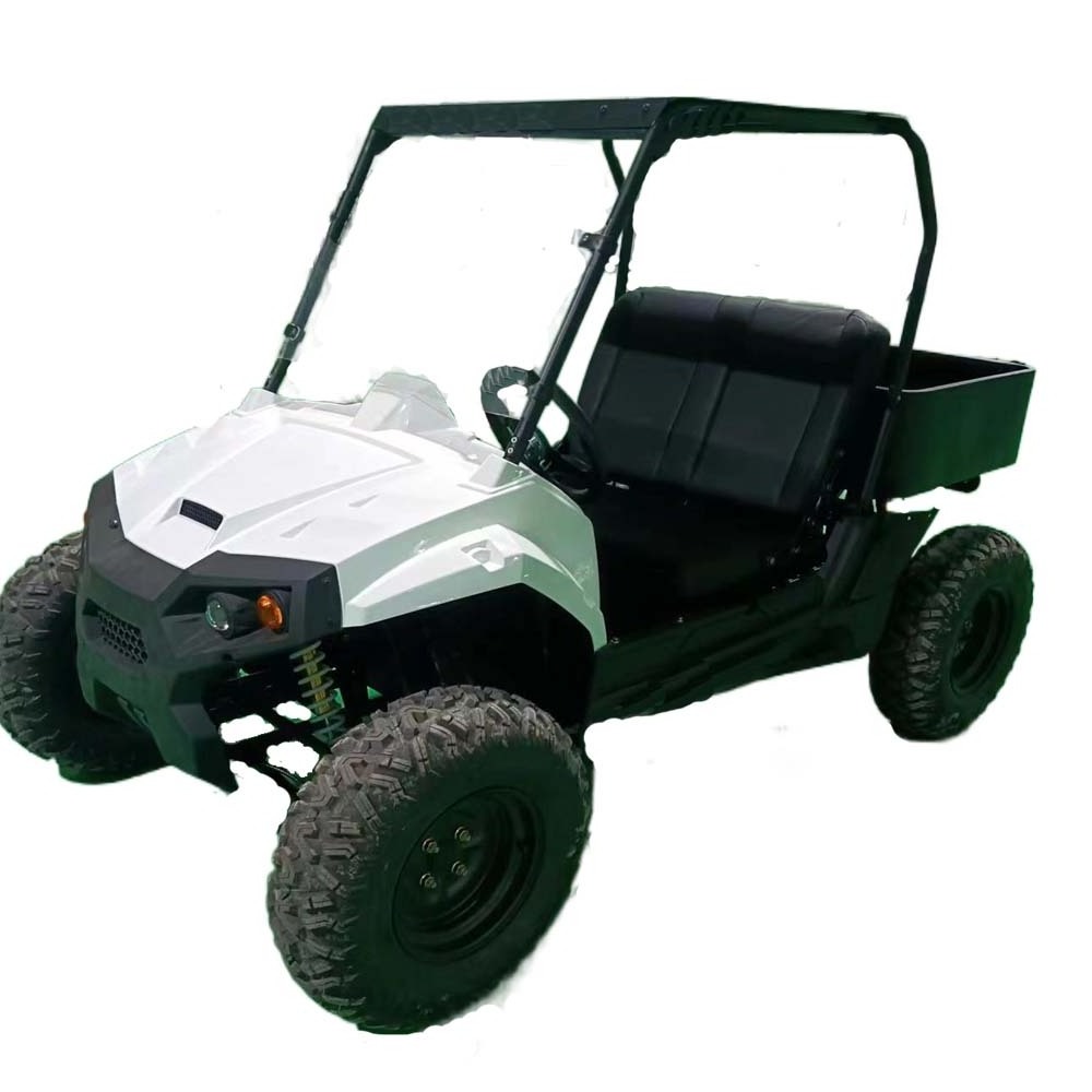 20KW power electrical dune buggy ATV UTV for adult