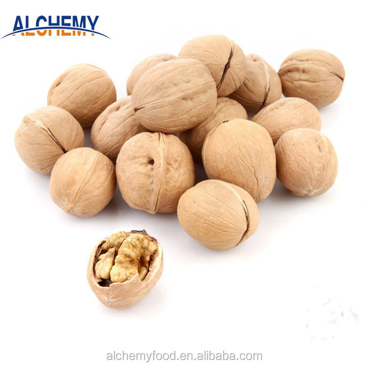 walnut inshell price china compare to north american california chandler walnuts in shell