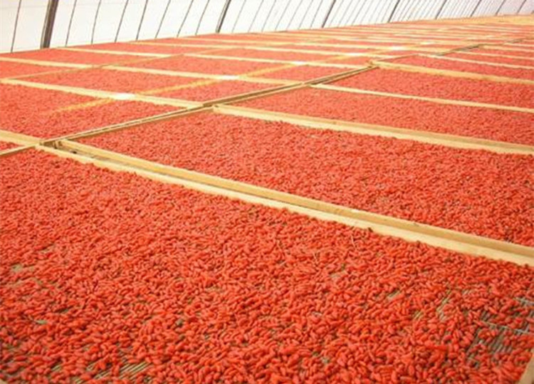 Chinese berries wholesale ningxia natural organic bayas baie de dried goji berry supplier