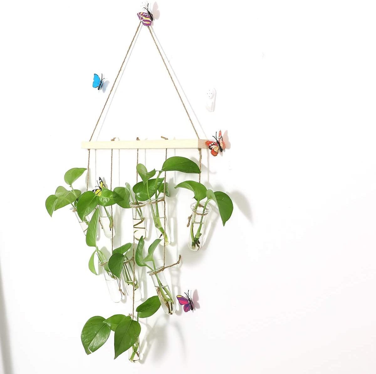 Glass Test Tubes Hanging Vase Planter,Bud Flower Terrarium Container for Home Decoration ,Green Plants Wedding Wooden Hanger