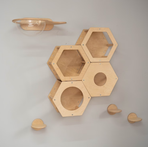 Modern Set of 8 items Wood Wall Mounted Cat Furniture Hexagon Climbing Shelves