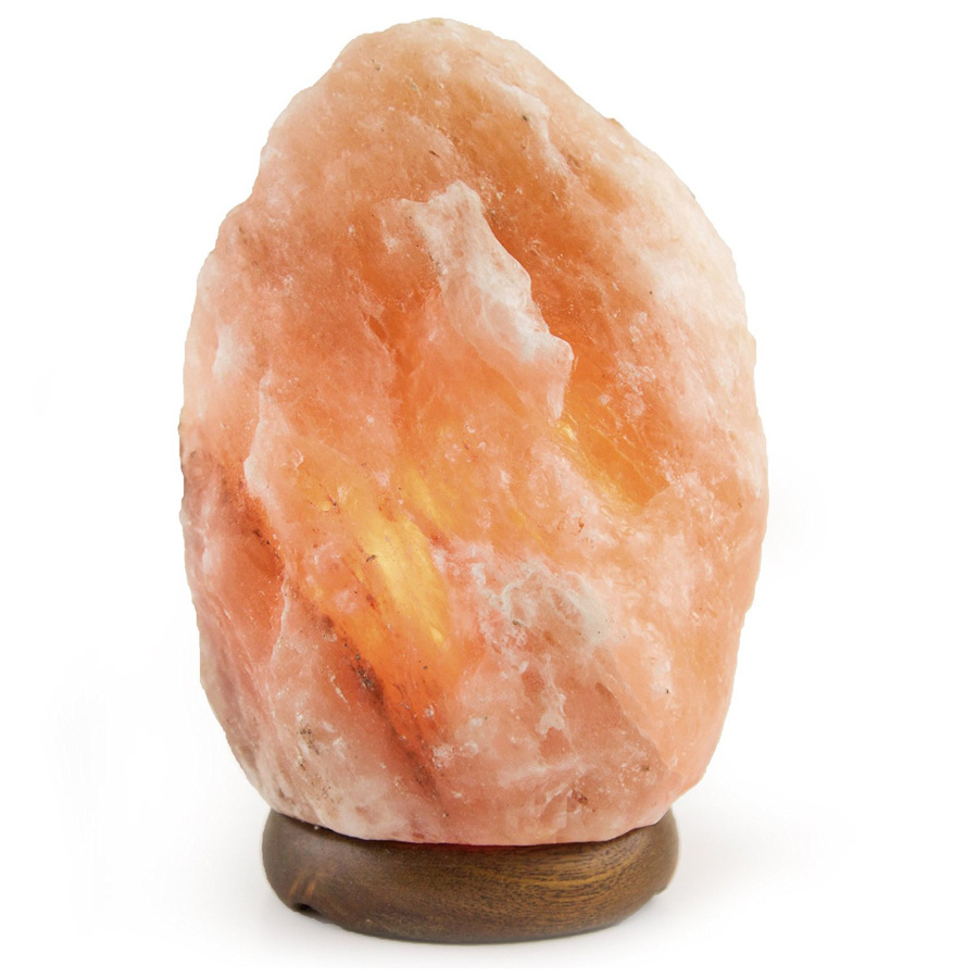 High quality Wholesale 2024  100% Natural air purifier Rock Salt Lamps Rough Iron Stand Himalayan Salt Lamp For Home Decoration