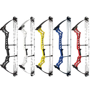 JunXing  Bow and Arrow Set Bow Arrow Prices Compound Bow Archery for Hunting Adults