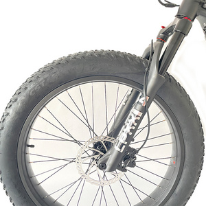 Low Price 751-1000W 500w Ebike Fat Tire Kit 751-1000W Folding Ebike Fat Tire 750w