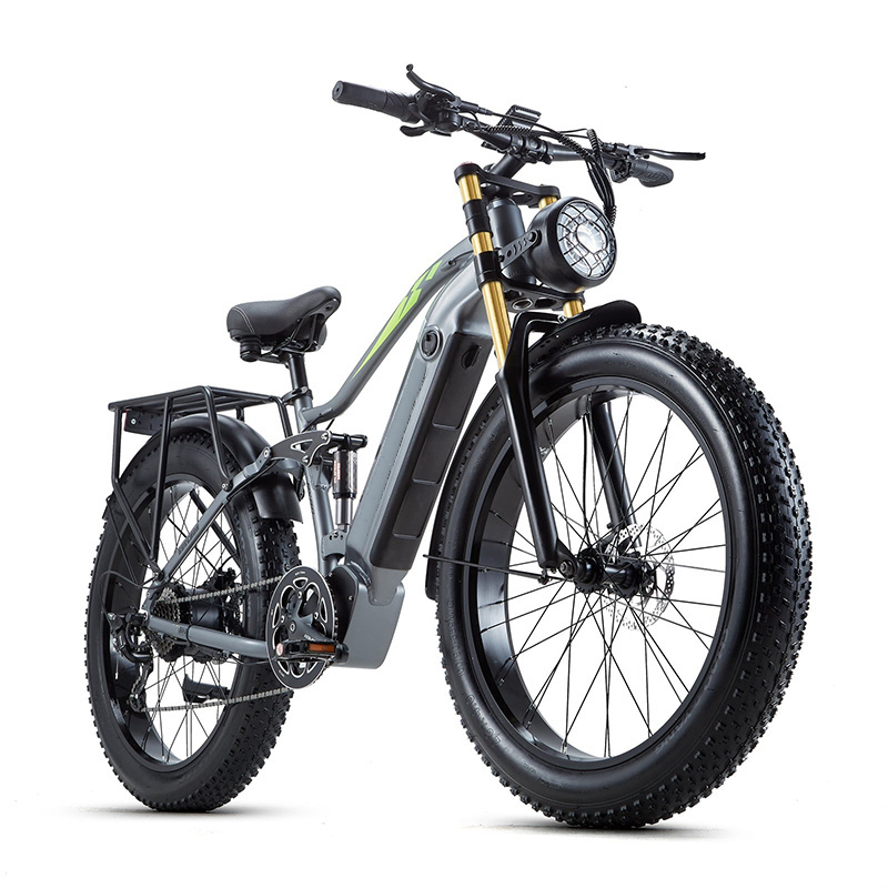 Electric Bike Cheap Long Seat 48v Fatbike Adults 2 Person Bicycle 750w Coco Motorcycle 29er Carbon Ebike