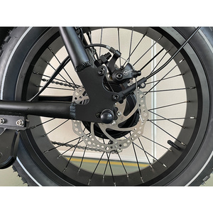 Best Selling Rear Hub Motor 24 Inch Fat Tire Step Ebike China Big Fat Wheel Ebike Beach Cruiser