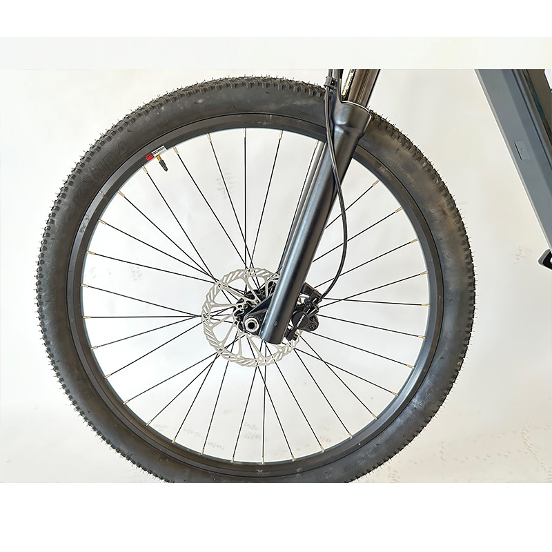 Markdown Sale >50km/h 100 Cc Motor Bike Hydraulic Disc Brake Alloy Rim Motor Bike 501-750W 8000w Electric Bike Motor