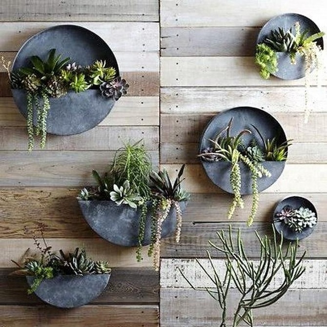 Wall hanging planter