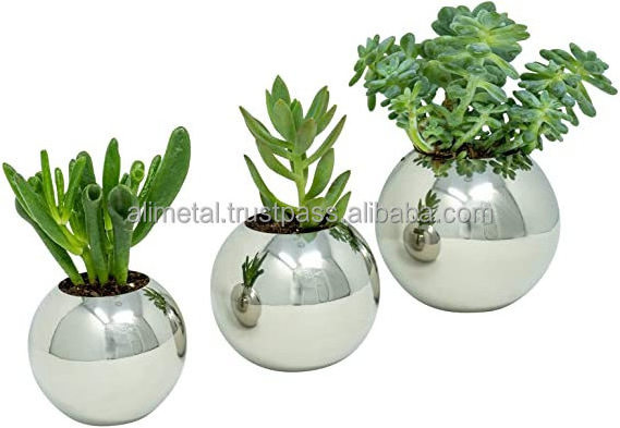 Polished Stainless Steel Planter Mirror Metal Plant Pot for Succulents Cactus and Small Plants for Desk Window