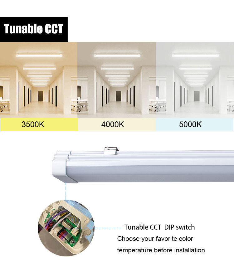 IP65 LED Tri-Proof Light Vapor Tight without Flickering IK09 3CCT Changeable Reduces Eye Fatigue