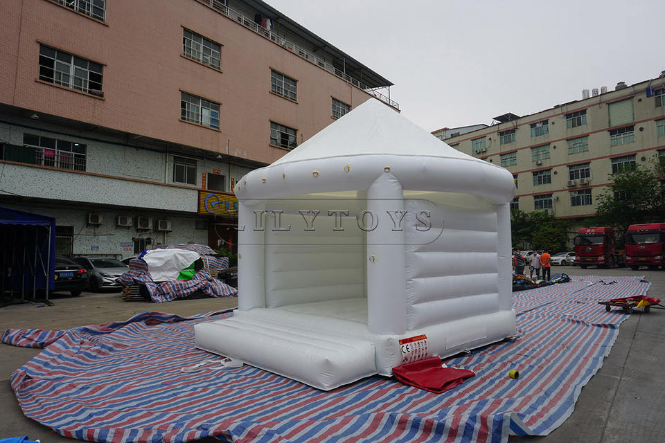 Lilytoys inflatable tent party event portable clear dome inflatable tent for sale tent inflatable