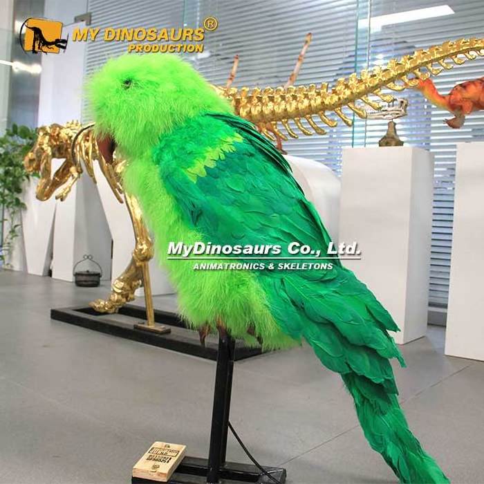 My Dino XJ307 Restaurant Decor Animatronic Animal Birds Parrot for Sale