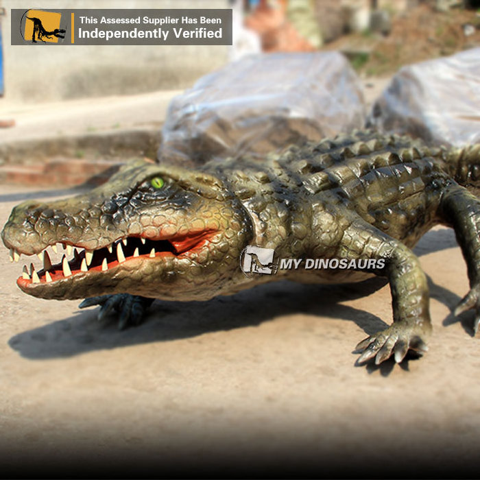 MY Dino AA115 Hot Sale Animatronic Model Animatronic Life Size Alligator