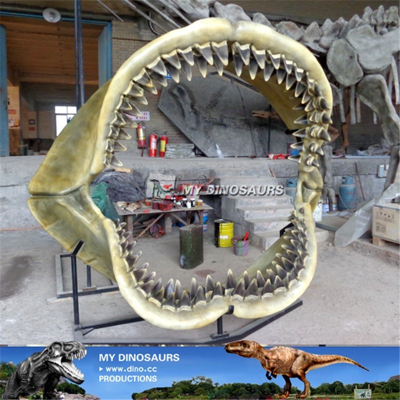 MY DINO-M24 Sea animal skeleton shark jaws