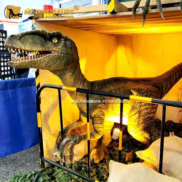 R Safari Park Velociraptor Animatronic Dinosaur Interactive