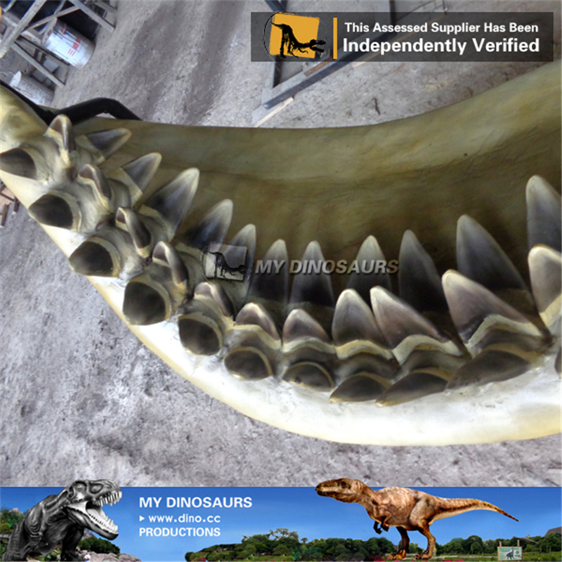 V Prehistoric shark jaws for sale