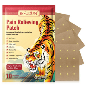 Fast Acting Long Lasting Herbal Warming Pain Relieving Heat Patches 10 Pcs Pain Relief Plaster for Arthritis Back Shoulder Joint