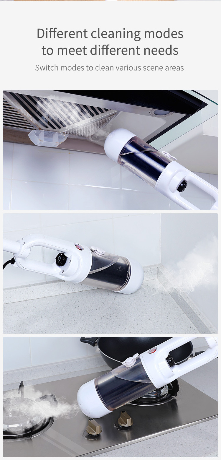 Portable Steam Cleaner Home Industrial Steam Carpet Cleaner