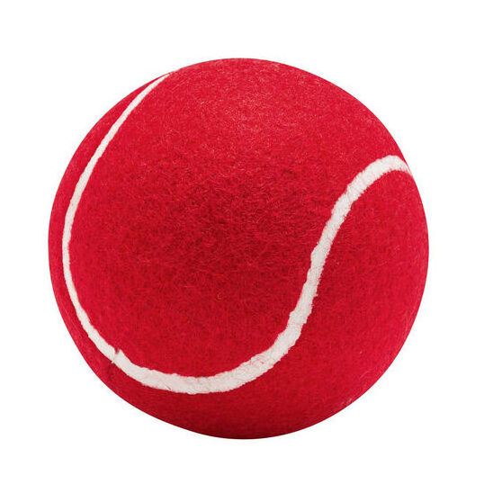 AAS Wholesale Tennis Cricket Ball for Indoor & Outdoor play low & high bounce for beginner, kids & professionals