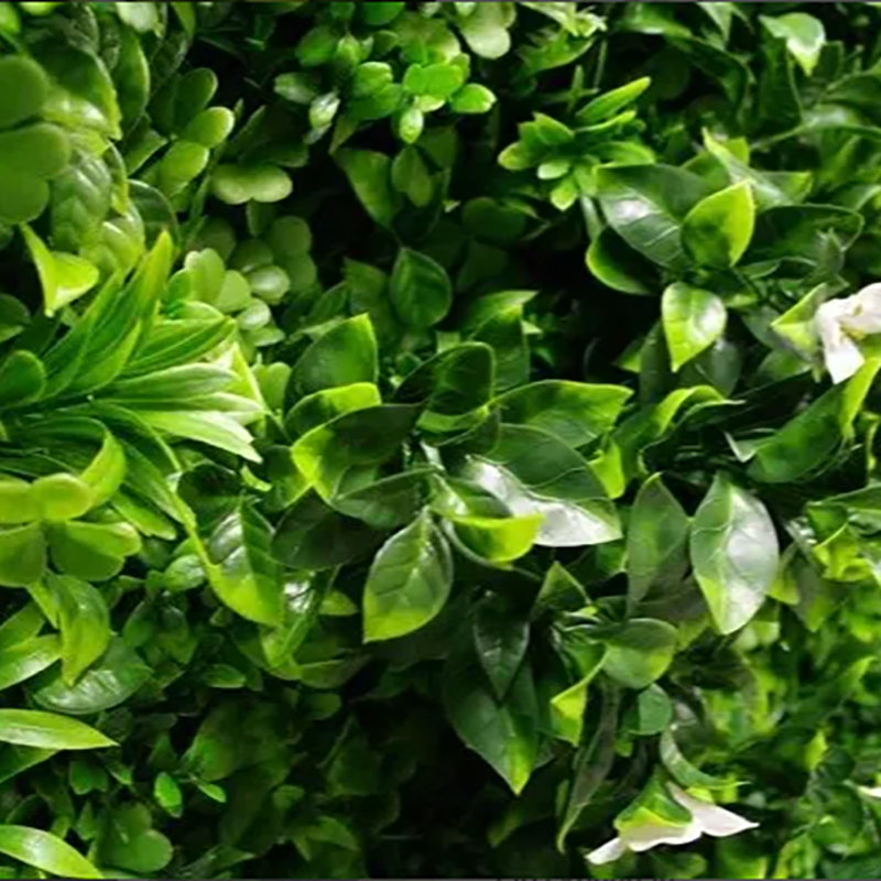 Artificial Grass Wall Panels UV-Anti Boxwood Panels Greenery Wall Backdrop for Indoor Outdoor Privacy Protected