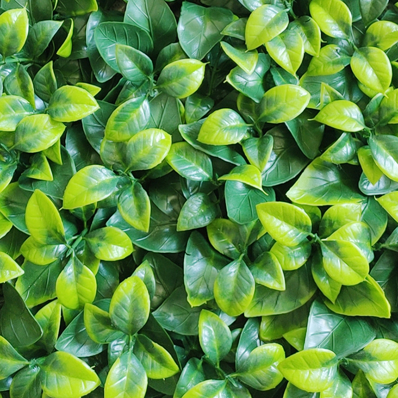 50*50 cm Anti-UV Artificial Hedge Boxwood Panels Green Plant artificial grass wall panels For Indoor Outdoor Decoration