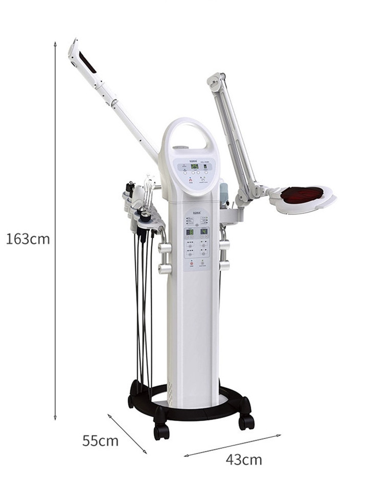 Multifunction High Frequency Hair Growth Facial Steamer Magnifying Lamp Skin Care Beauty Machine