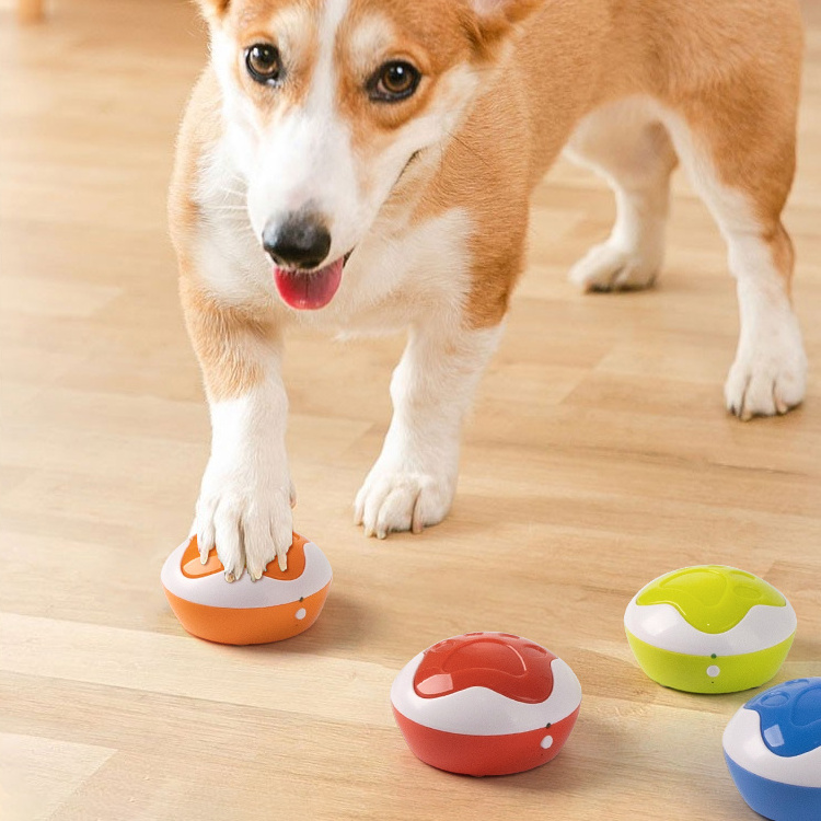 AFP Best Seller bell buzzers pets push recordable sound talking dogs voice recorder dog button