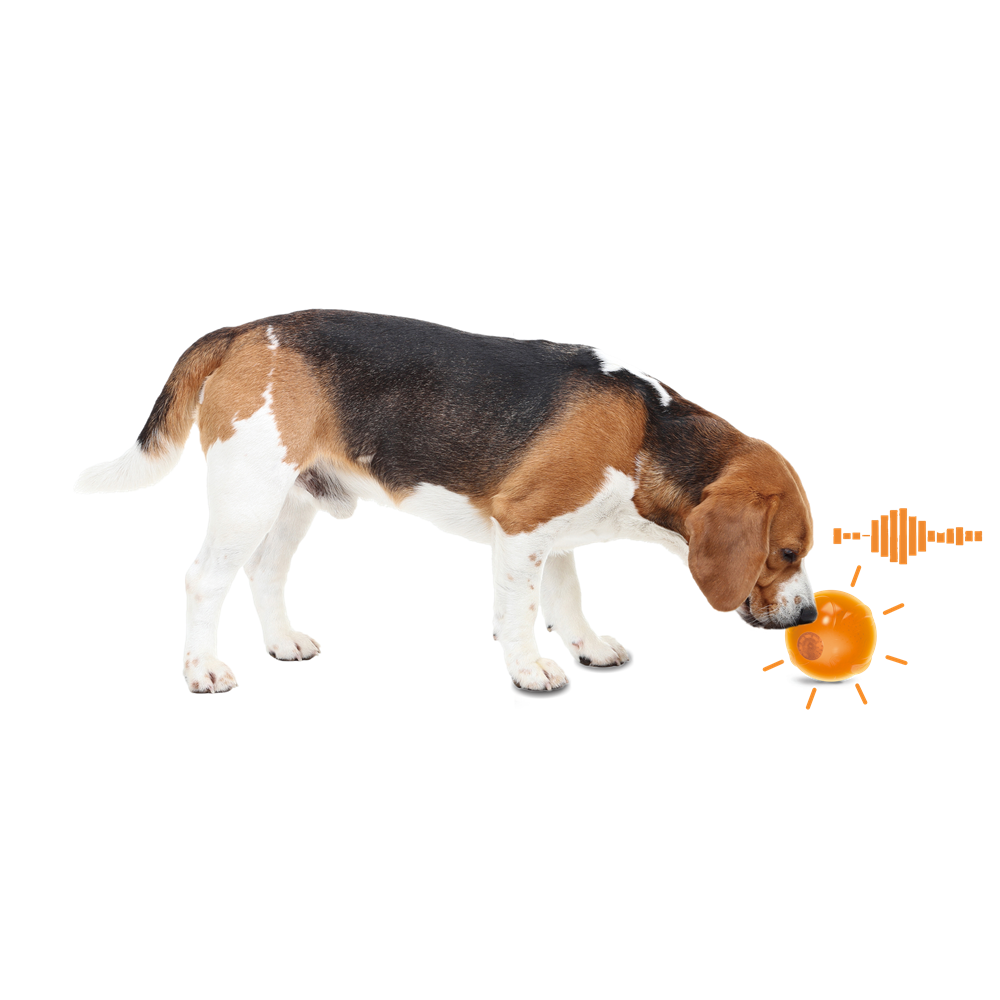 Hot Sale Small Light Up Dog Anti-Anxiety Speaking Ball Toys Dog Stress Relief Flashing Chew Toys With Recording Voice Function