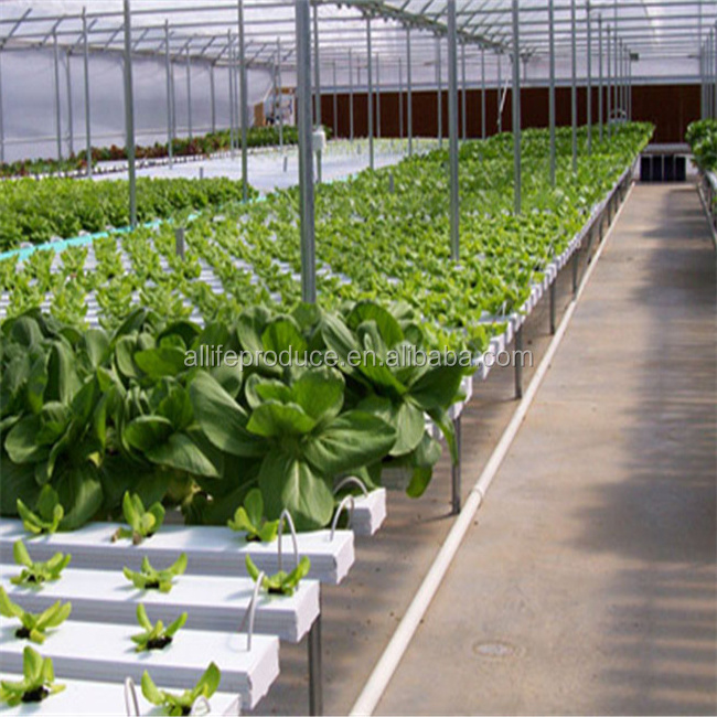 Commercial Hydroponic NFT Sliding Bench Systems