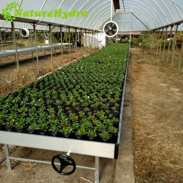 Naturehydro Agricultural Flood Tray Tables 4x8  Ebb And Flow Rolling Bench indoor hydroponics vertical grow system