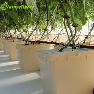 PP&UV hydroponic bucket system auto pots dutch bato bucket