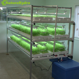 Microgreen growing tray wholesale nursery seedling plant growing trays