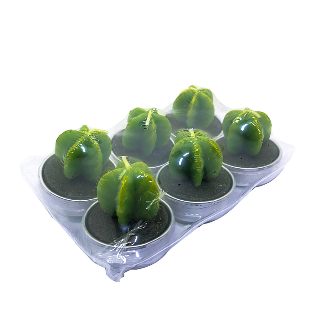 Gift Candle Set 6 Pcs Mini Cactus Tealight Succulent Candles